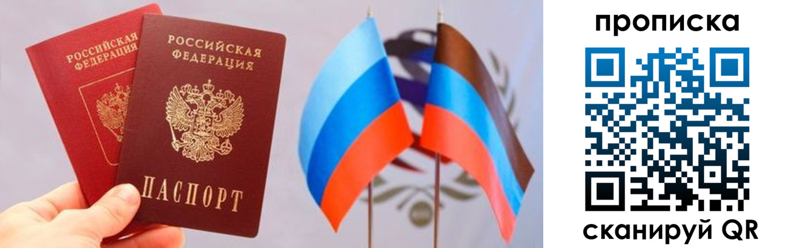 прописка поиск в Владивостоке